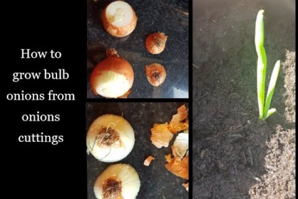 Ссылка кракен vk2 top