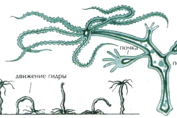 Зайти кракен через тор