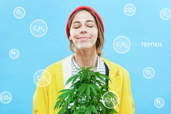 Кракен даркент