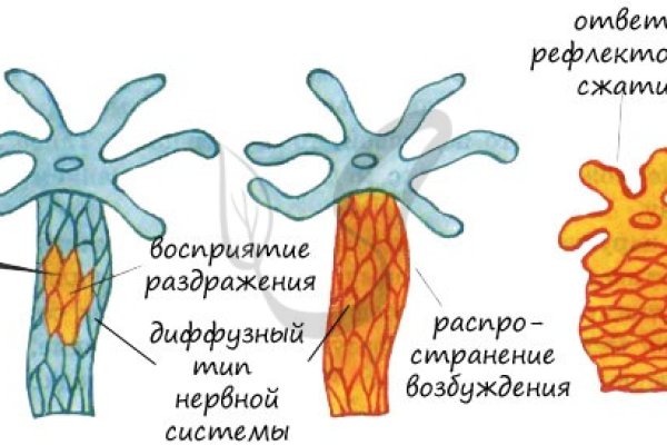 Кракен в обход