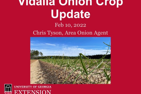 Кракен переходник ссылка